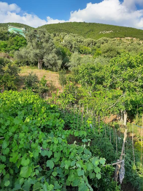 PRIVATE HOUSE + LAND FOR SALE IN SHTISH TUFINE