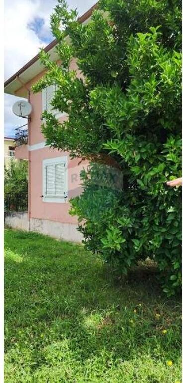 Vilë - Për Shitje - Pezë Helmës, Tiranë(ID: 530171090-1486)