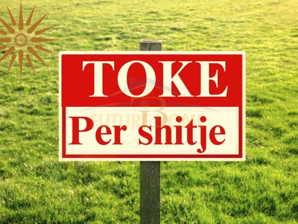 Abbiamo terreno in vendita a Qeparo!