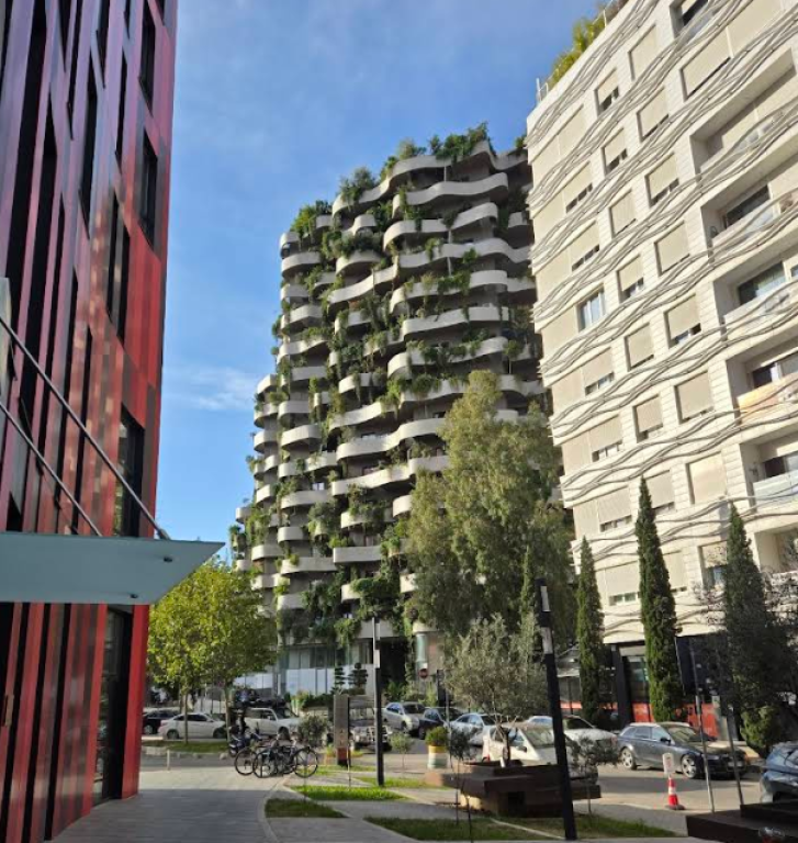 FOR RENT APARTMENT 1+1+POST  LION PARK 1