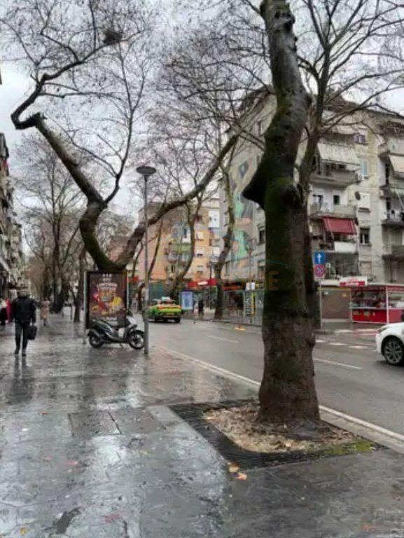 Affitto, Spazio Commerciale, Myslym Shyri