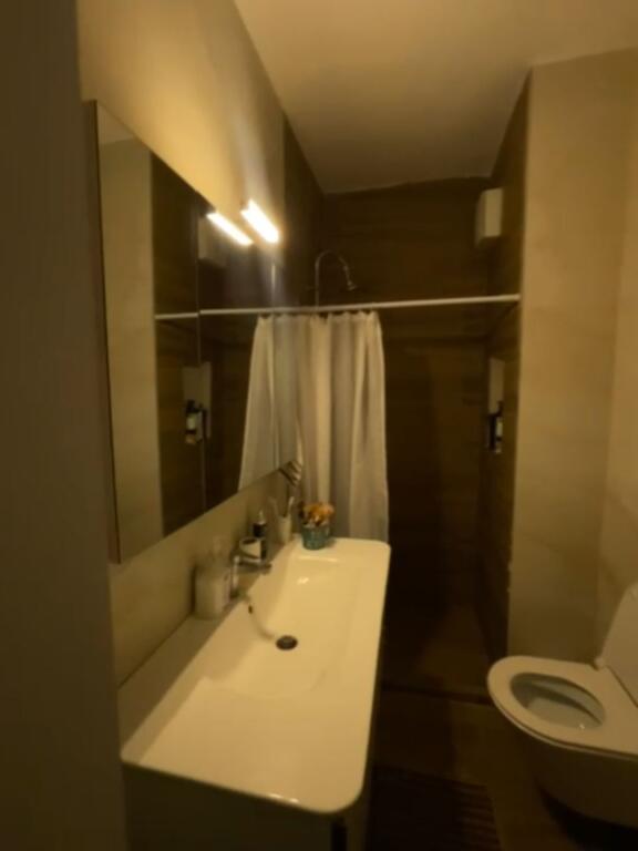Apartment 1+1 for rent at Univers City.