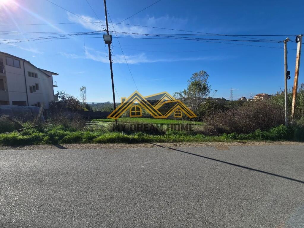 SHITET TOKE NE ARAPAJ DURRES