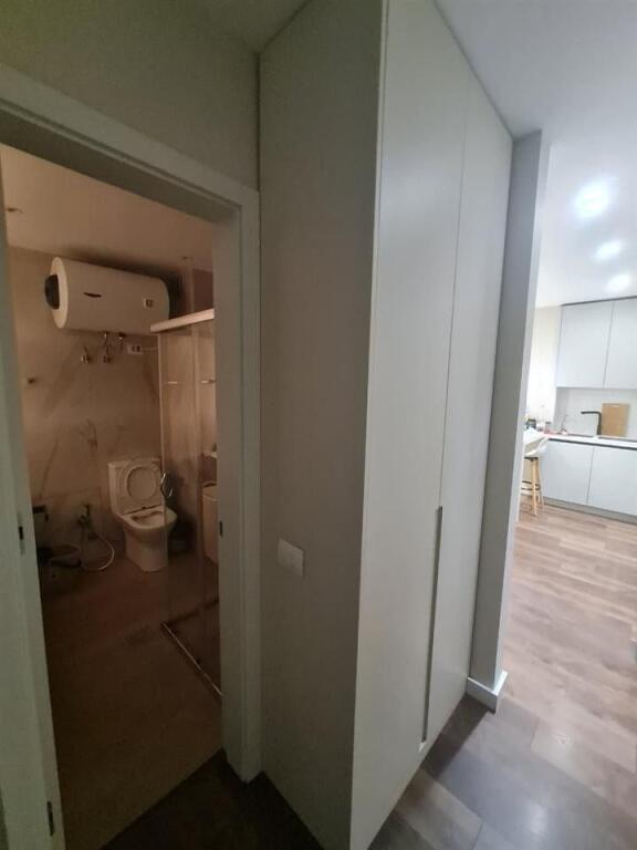 Super 1+1 apartment for rent in Misto Mame