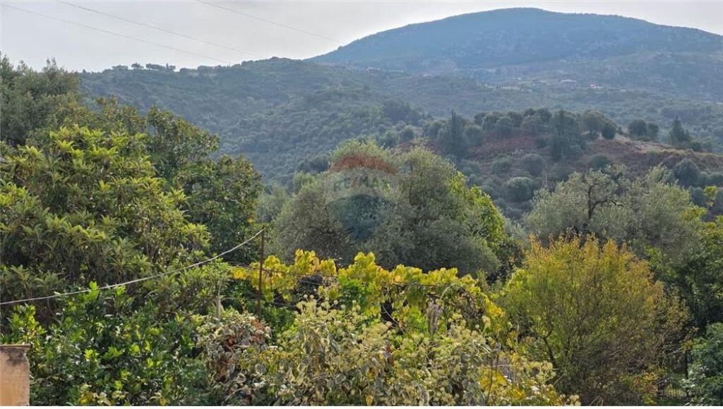 🏠 Appartamento 1+1 – In Affitto Lungomare, Vlore