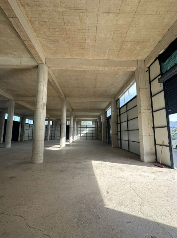 🏢 Magazinë – pranë Top Channel, Kashar