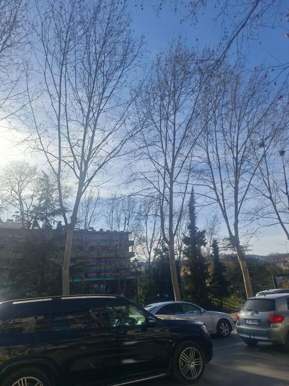 SHOP FOR RENT VASIL SHANTO 108 M2