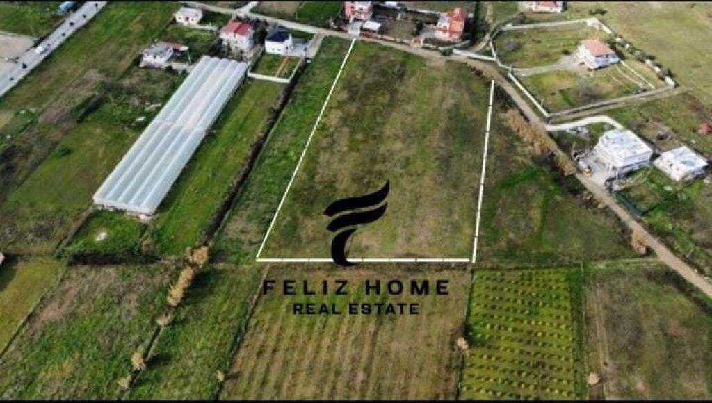 SHITET TRUALL 7000M2 PRUSH 700.000 EURO
