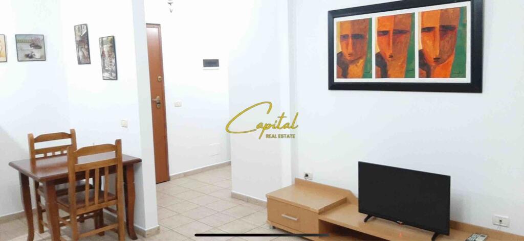 APARTMENT FOR RENT 1+1 CENTER 600 EURO