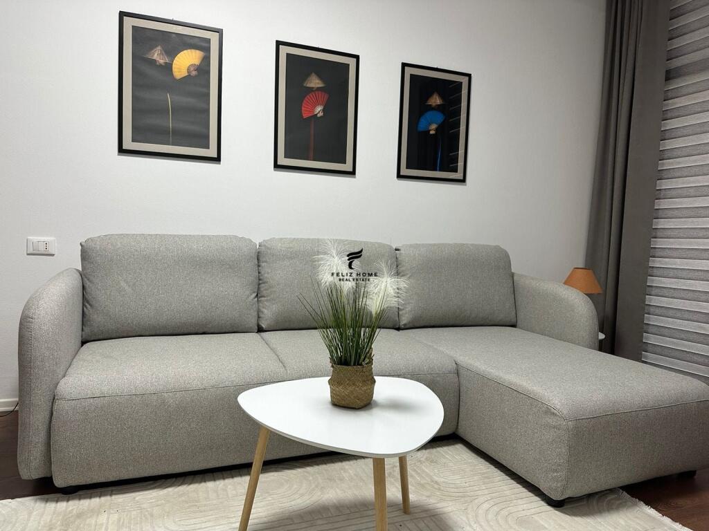 APARTMENT 1+1 &amp; STUDIO FOR RENT PARIS MUNICIPALITY 120,000 LEKE