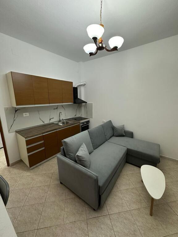 Ali Demi Apartment 1+1 For Rent