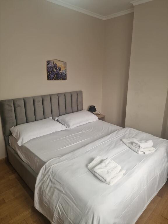 Appartamento esclusivo 2+1 in vendita nel Centro di Tirana