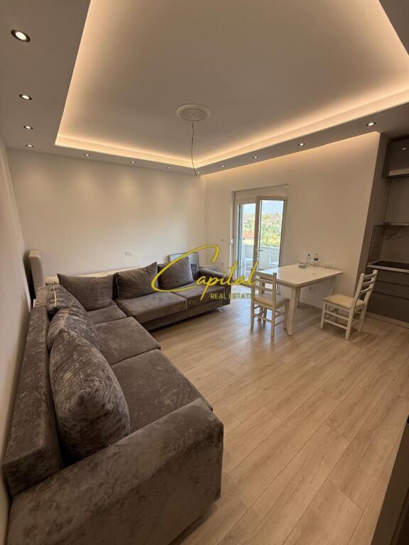 APARTMENT FOR RENT 2+1 SAUK 530 EURO