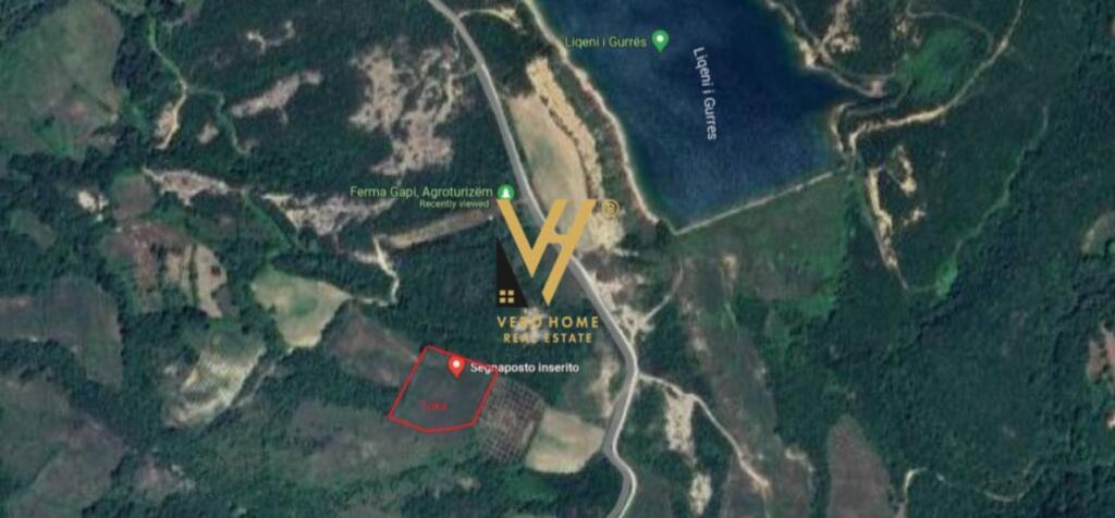 SHITET TOKE 5.500 M2 NE GURRE TE VOGEL PRANE EQUOS RESORT 275.000 EURO