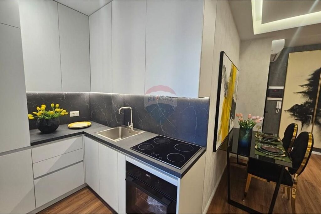 Apartment - For Rent - Frosina Plaku Street, Tirana