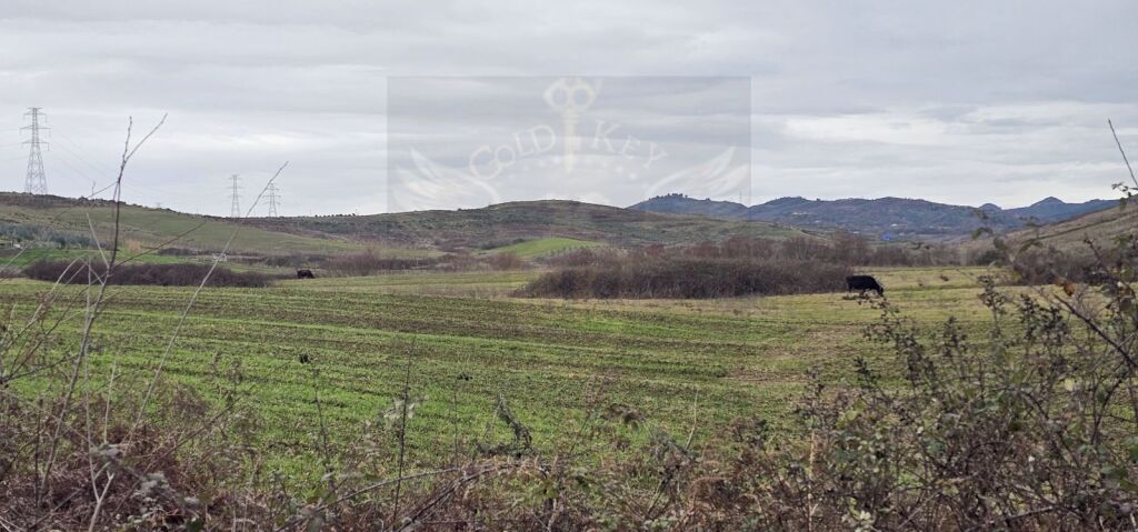 🏡 LAND FOR SALE IN GJEPALAJ – VERY GOOD AREA 🌿