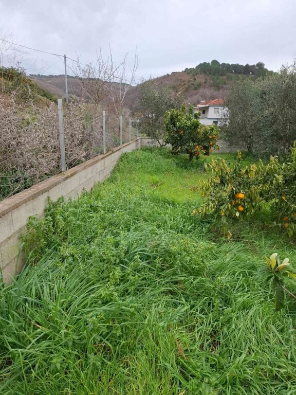 Shitet tokë me shtëpi në Divjakë