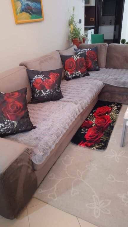 Jepet me qera apartament 1+1 Komuna Parisit 450 Euro