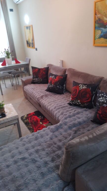 Jepet me qera apartament 1+1 Komuna Parisit 450 Euro