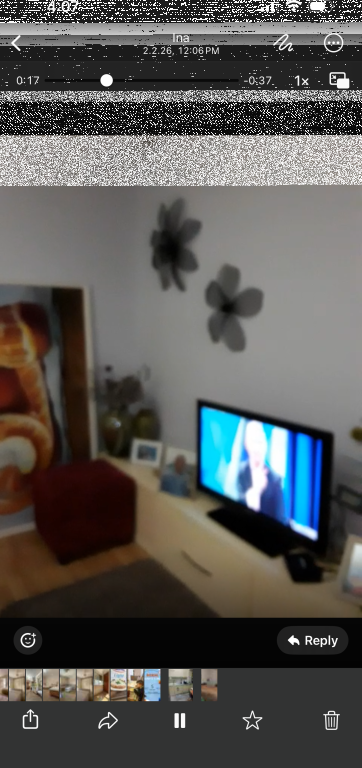 Appartamento 1+1, Porcellana!