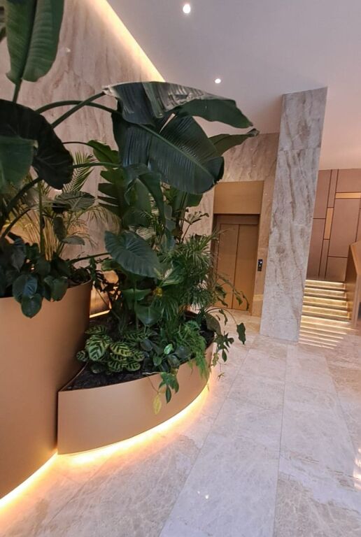 📌 Ambient Zyre Premium me Qira – Ish Blloku

