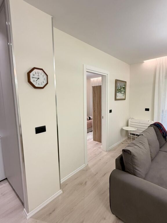 Apartament me qera 1+1+Ballkon Kati 3