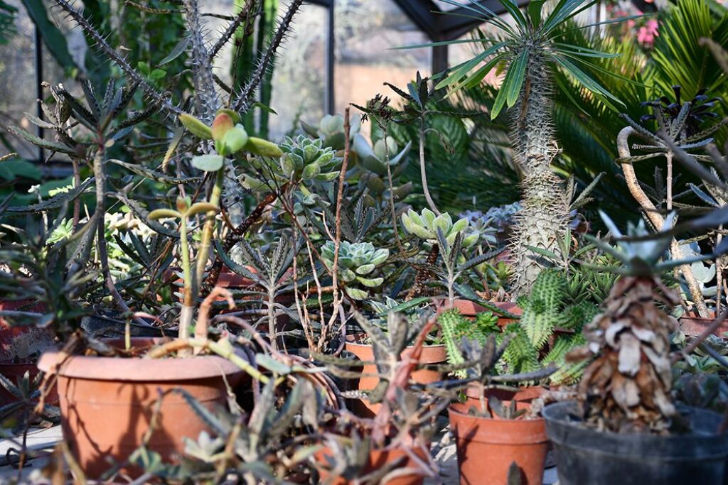UNITÀ COMMERCIALE IN VENDITA VICINO AL GIARDINO BOTANICO!