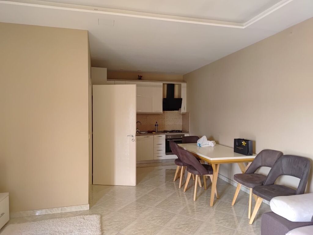 Apartment 1+1 for rent