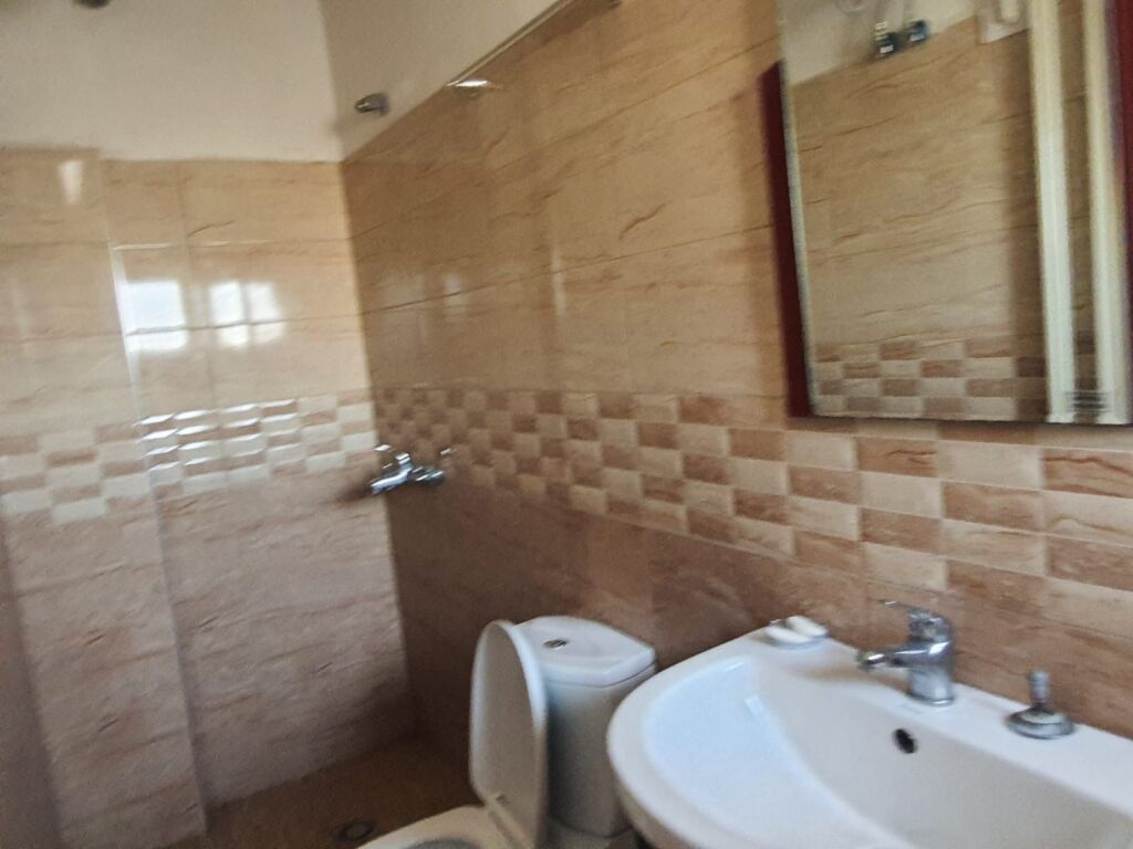 Apartment 1+1+Balcony Mihal Grameno St. 300€