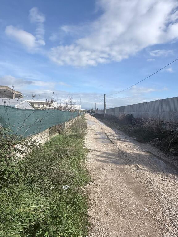 SHITET TOKE XHAFZOTAJ DURRES