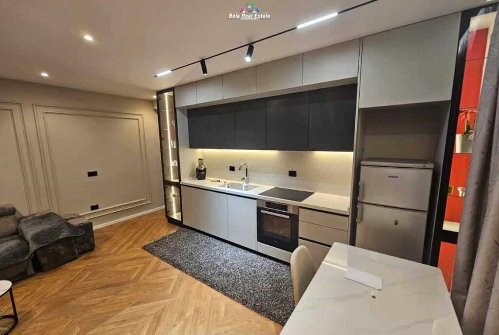 Appartamento In Affitto 1+1 Presso Residenza Kodra E Diellit ( ID B2101483 ) Tirana