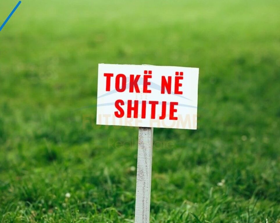 Shitet, Toke, Dajt, Tirane