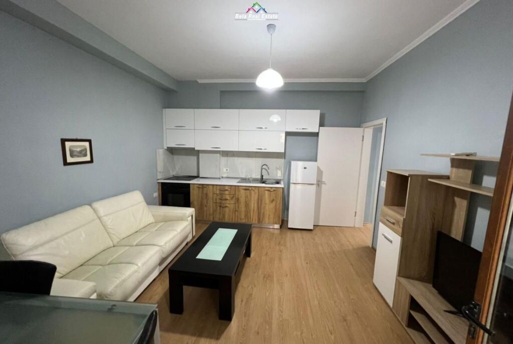 Piano Villa in Affitto 1+1 in Ali Demi (ID BV22371) Tirana.