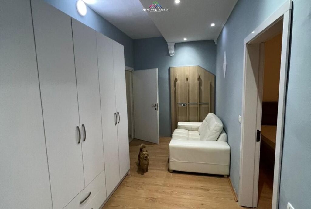 Piano Villa in Affitto 1+1 in Ali Demi (ID BV22371) Tirana.