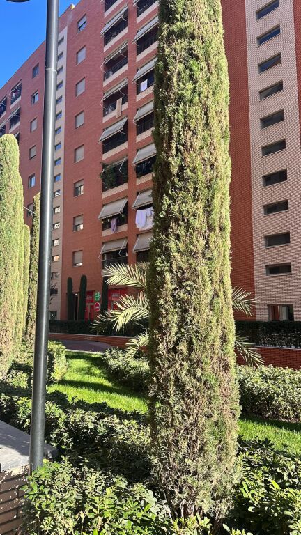 APARTAMENT NE SHITJE TE DELIJORGJI
