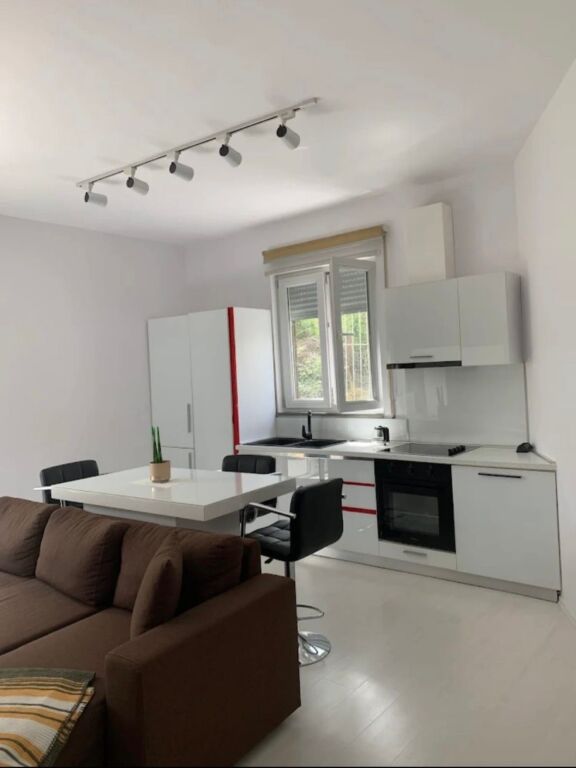 1+1,i mobiluar ,me parkim,te xhamia e kopshit botanik,530 euro