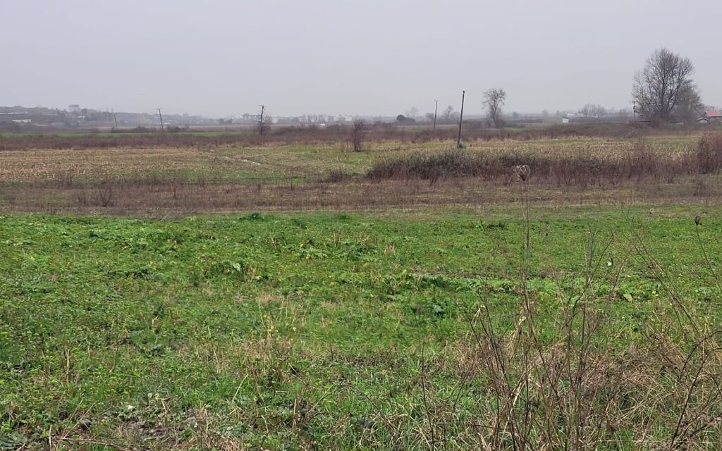 🌿 Shitet tokë në Gjirin e Lalzit – Mundësi shumë e mirë investimi!