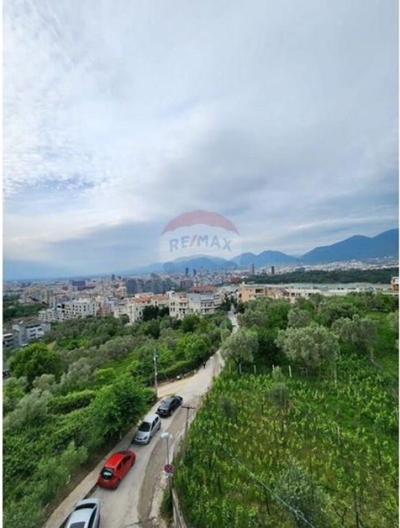 Apartment - For Sale - Dry Lake, Tirana(ID: 530281030-920)