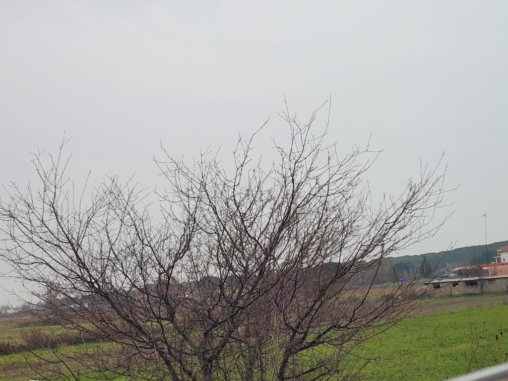 🌿 Shitet tokë në Gjirin e Lalzit – Mundësi shumë e mirë investimi!