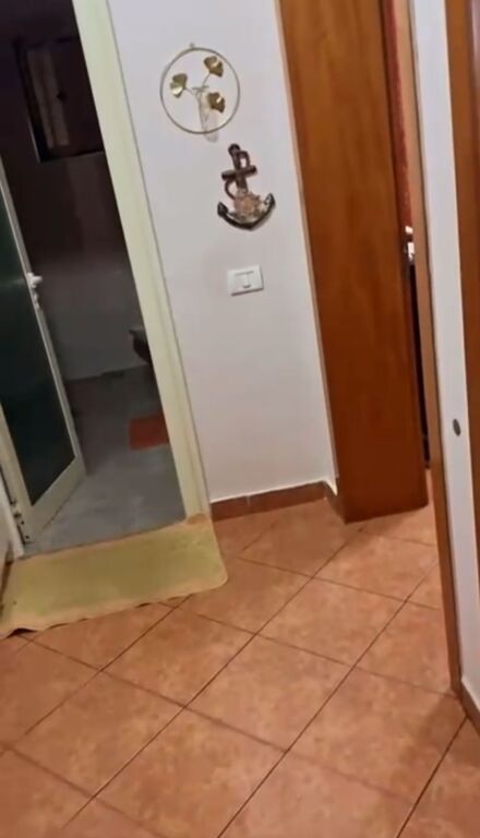 Shitet 2+1 ,Te Petro Nini