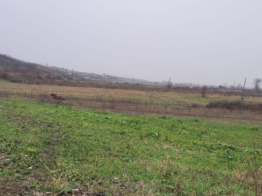 🌿 Shitet tokë në Gjirin e Lalzit – Mundësi shumë e mirë investimi!