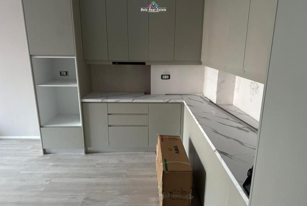 Apartament Me Qera 1+1 Tek Dritan Hoxha ( ID B2101503) Tirane
