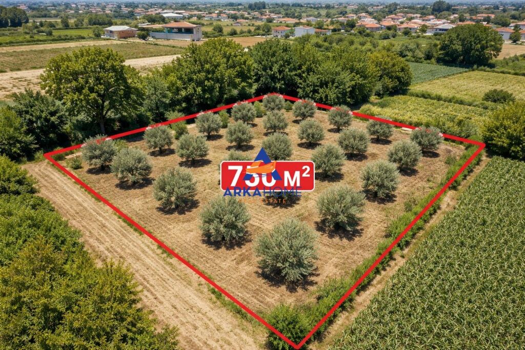 TERRENO IN VENDITA 750M2 "STRADA AULONA, FIER" 45.500 EURO
