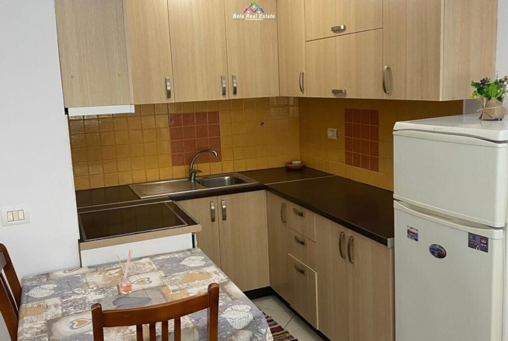 Apartament Me Qera 1+1 tek Liqeni i Thate ( ID B2101509) Tirane