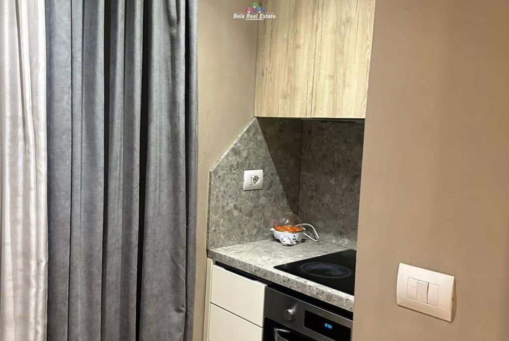 Apartament Me Qera 1+1 Prane Harry Fultz ( ID B211425) Tirane