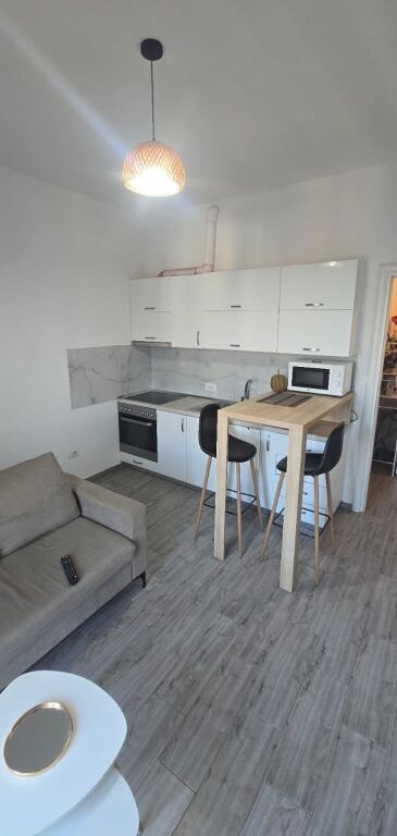1+1 furnished apartment for rent