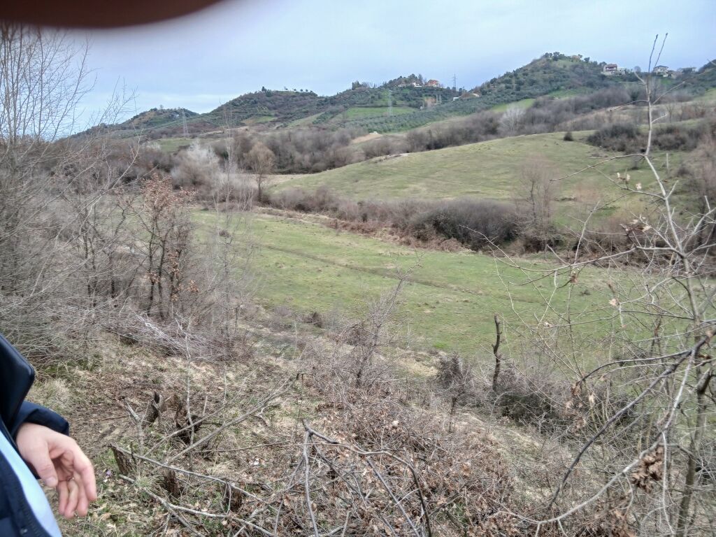 Land for sale in Kashar behind City Park