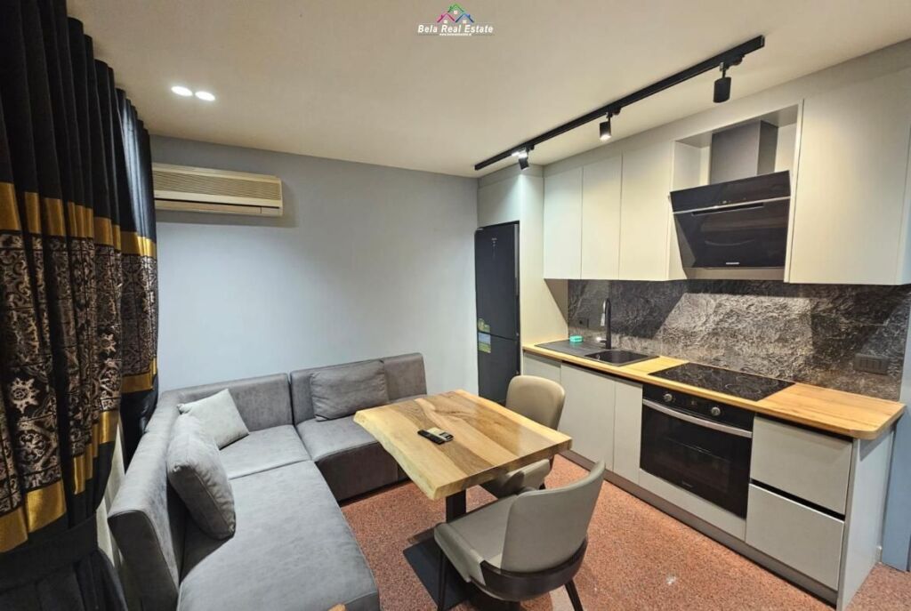 Appartamento In Affitto 1+1 In Centro (ID B211397) Tirana