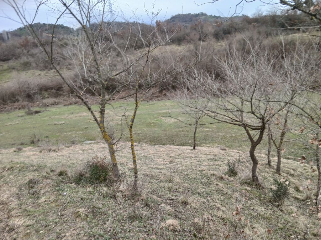 Land for sale in Kashar