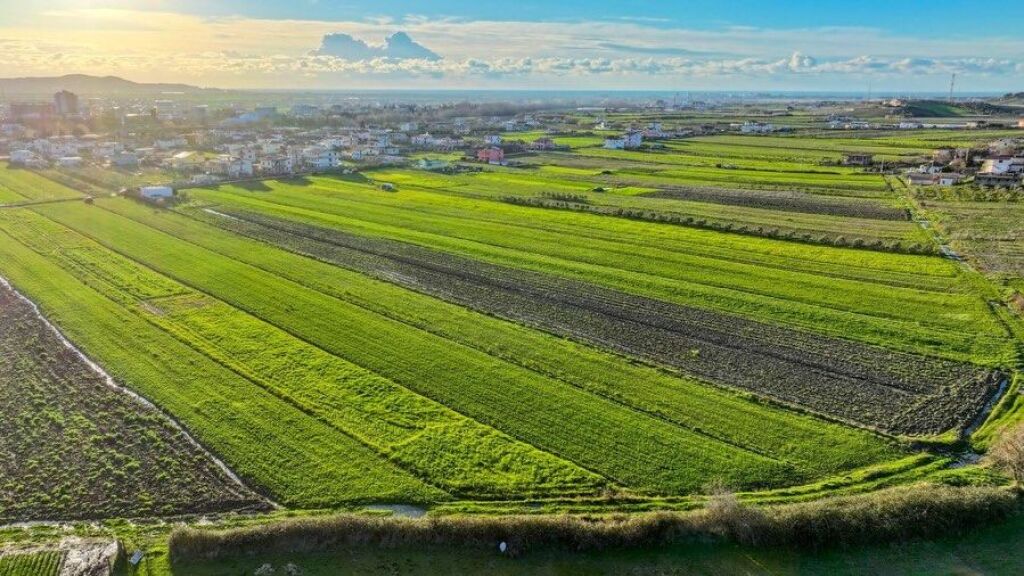💥 OPPORTUNITY 💥 Land for sale near the former Paper Factory, Kavaje